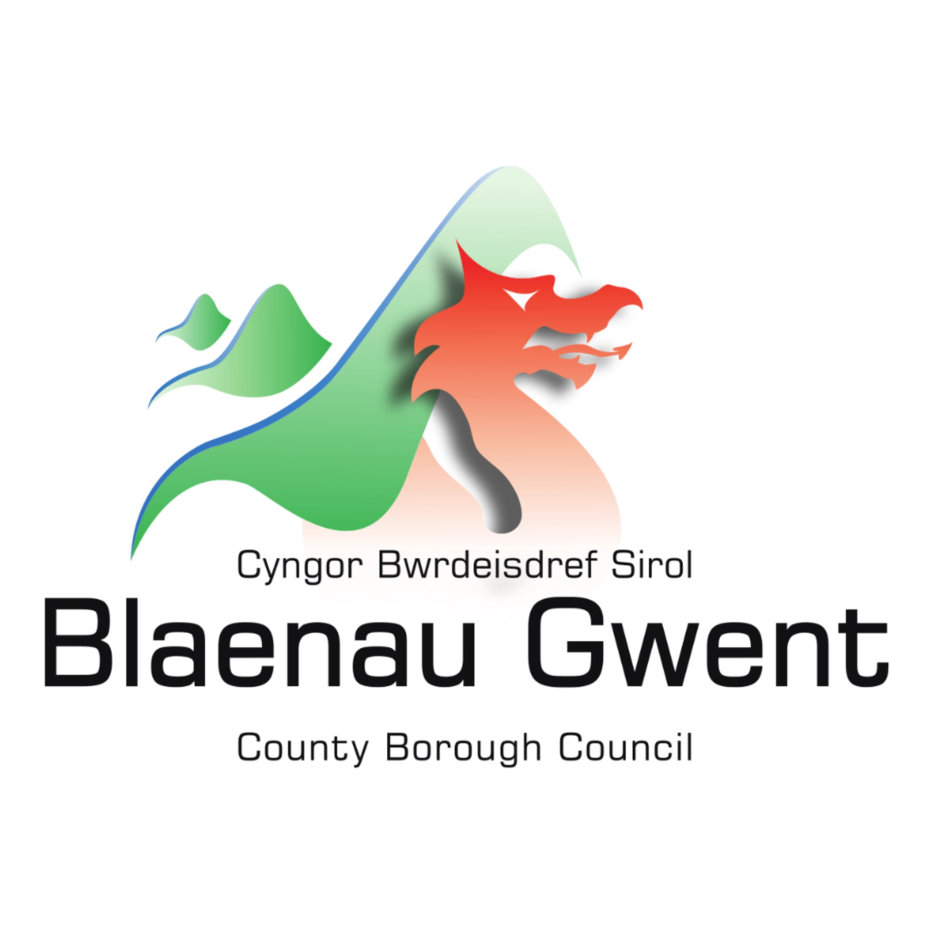 Blaenau Gwent — grant-funded digital packages